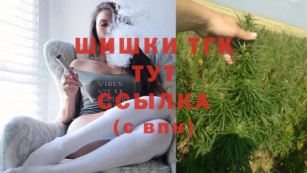 прущая мука Ельня