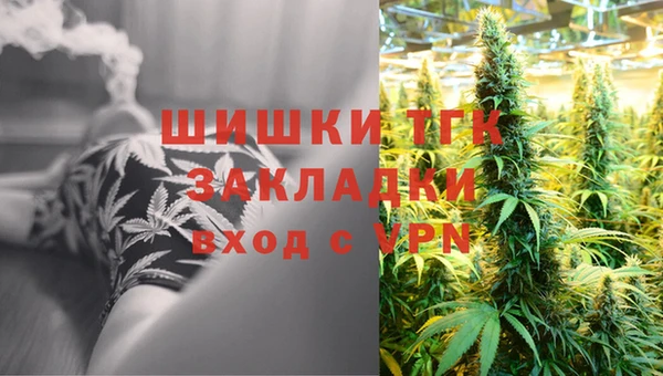 твердый Дмитриев